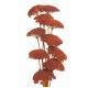 YARROW Orange 22" -